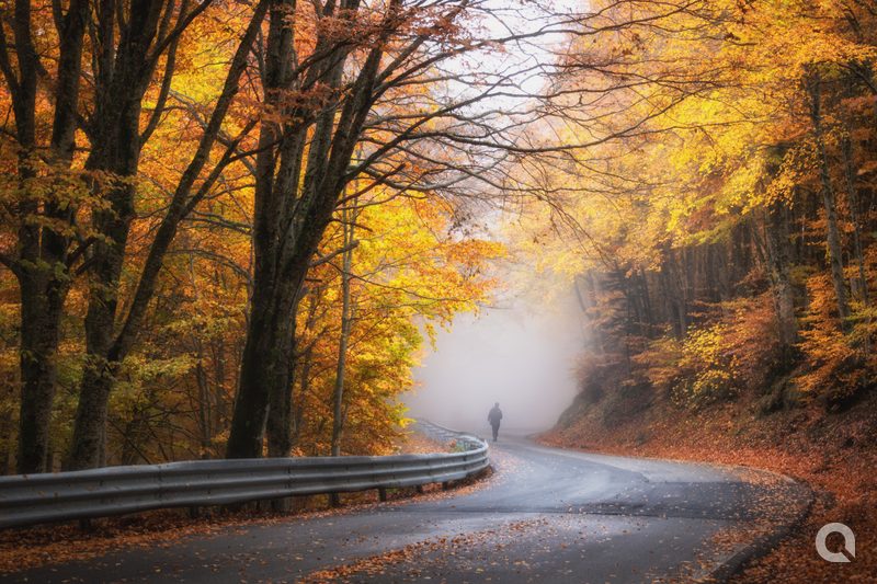 Strada per Monte Scuro, Sila